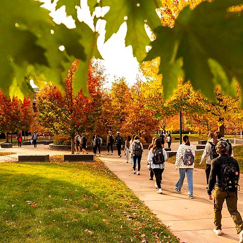 Students walk across campus on a fall day. Part of the image focuses on the changing leaves of a tree.