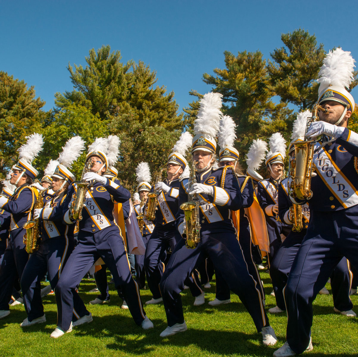 A marching band playing instruments on grass on a sunny day