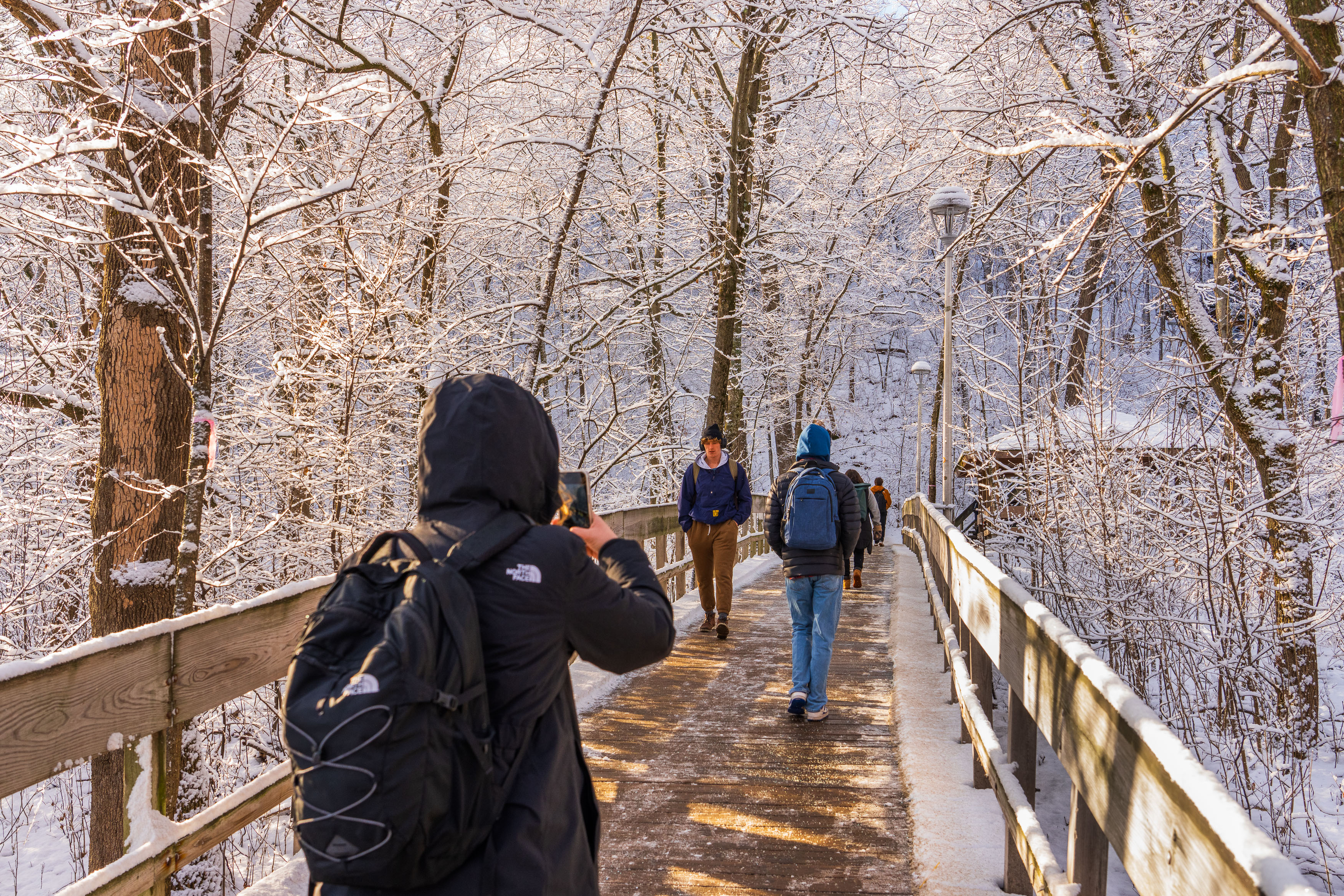 Frosted and snowy path leading to stairs in the winter season.