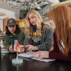 UWEC students, from left, Lizzy Keena, Seth Subiaga, Caterra Leavens and Maddy Marasch are a group presenting research at the Mayo Health IMPACT event.