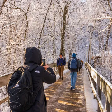 Frosted and snowy path leading to stairs in the winter season.