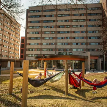 hammocks hanging on upper campus near residence halls 