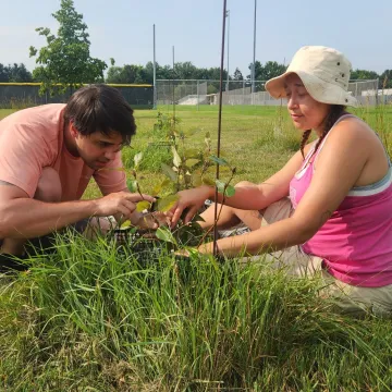 Student researchers outside measuring plants