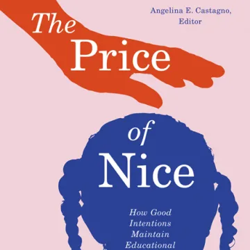 The Price of Nice book cover