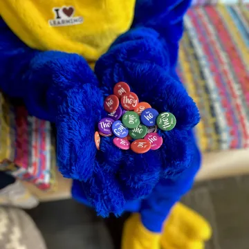 A bird mascot holds a handful of pronoun buttons.