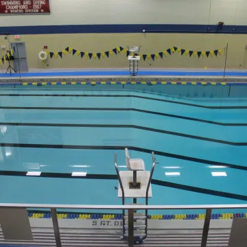 Image of pool from above