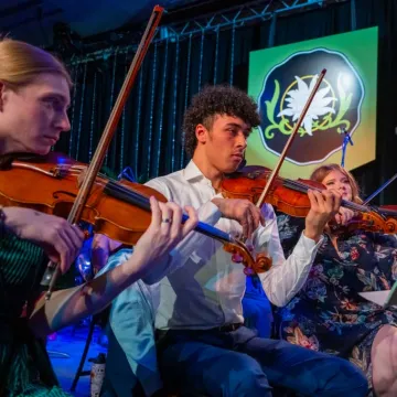 Orchestra at the Viennese Ball