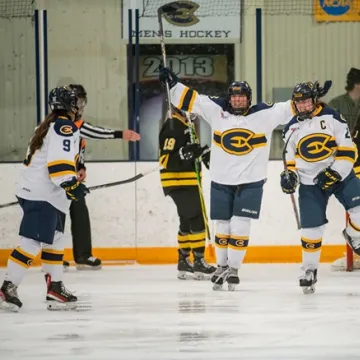 women's hockey players celebrating a goal 