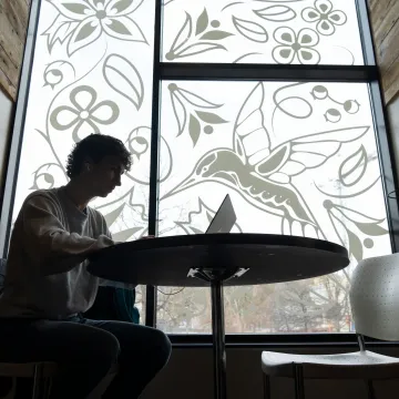 student studying at a window table in Davies 