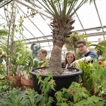 Biology students studying plant life in one of UWEC's three greenhouses