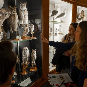 A biology professor points at a bird display and shares some insight with students