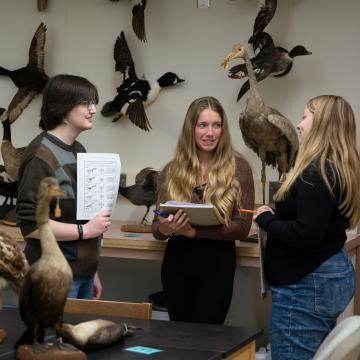 A group of students discuss the biology of birds