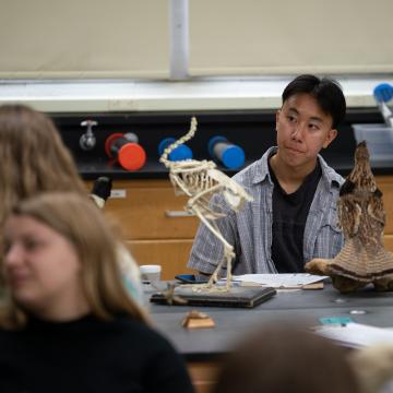 Student studies a bird skeleton
