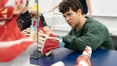 Anatomage lesson for kinesiology