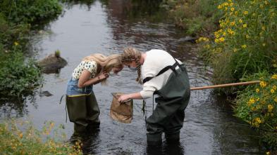 two biology students collecting specimen in the campus creek