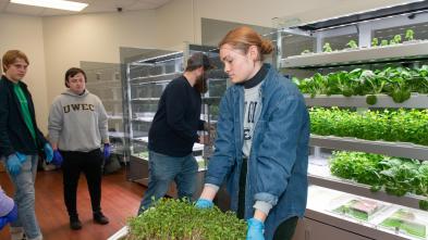 Student holds tray of green sprouting seedlings