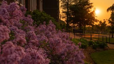 Campus beauty