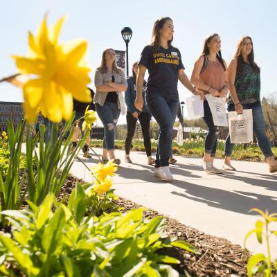 A group of people walking at the campus mall in sunny weather