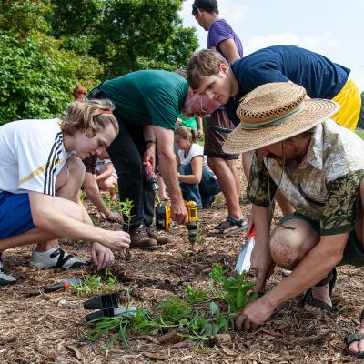 Students and faculty working in rain garden