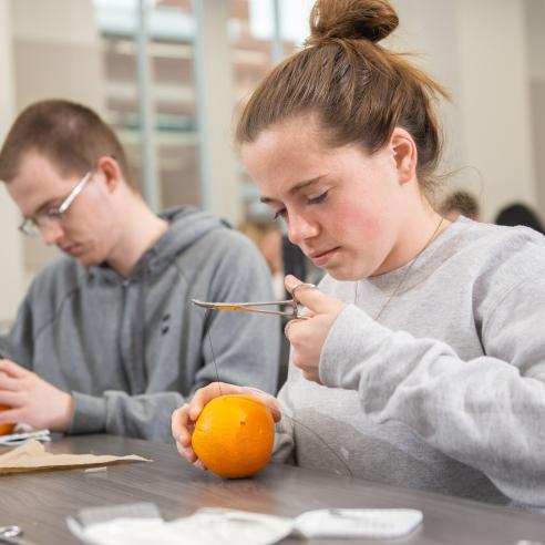 students at suturing clinic with Mayo staff