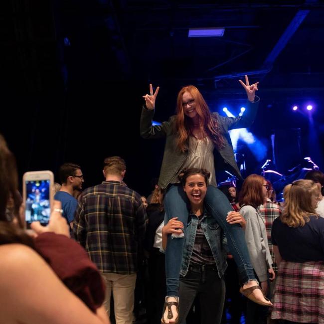 Crowd at Concert