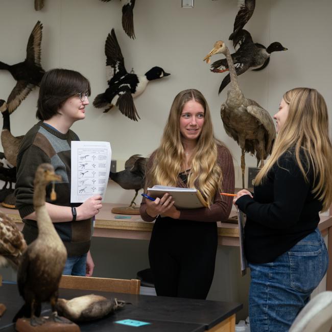 A group of students discuss the biology of birds