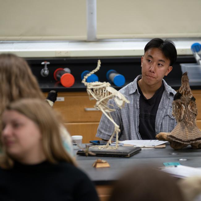 Student studies a bird skeleton