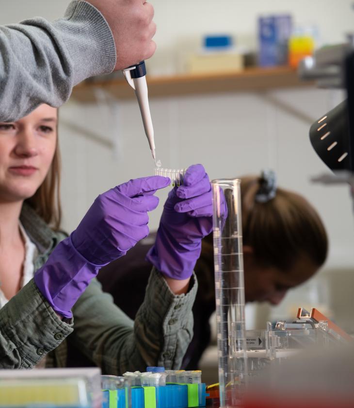 samples being prepped in biology lab