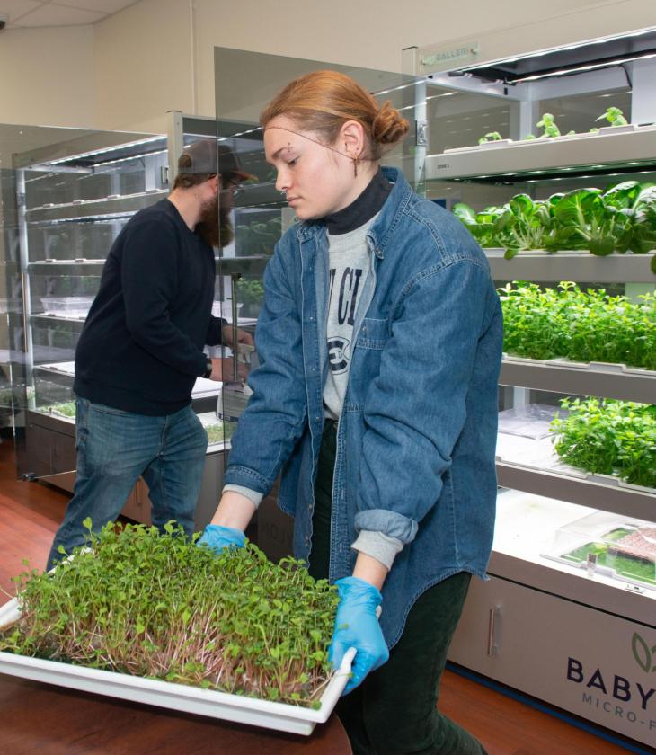 Student holds tray of green sprouting seedlings