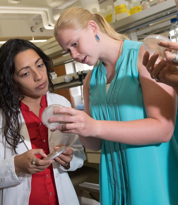 Biology faculty-student research