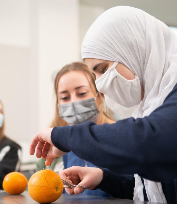 Pre-professional Health Club members practice suturing on oranges