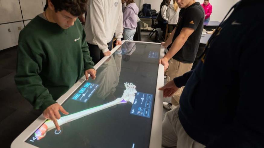 male student using Anatomage table