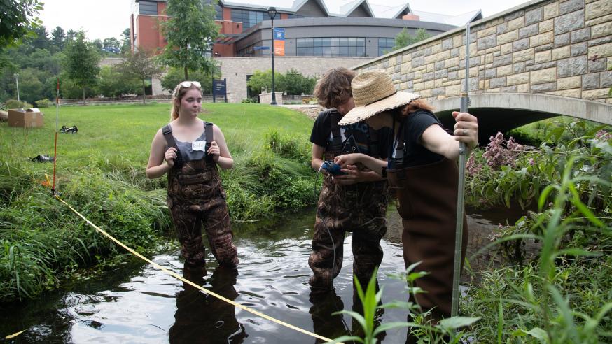 students doing GEOG study in campus creek