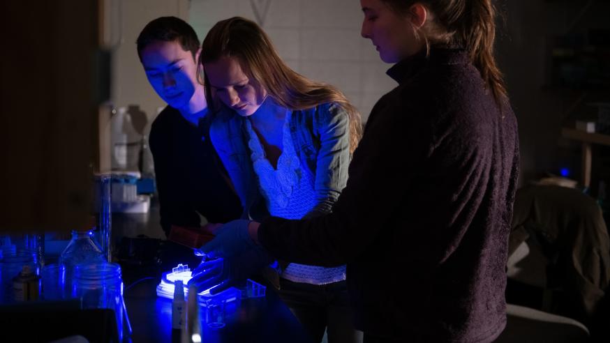 blue light used to see organisms under microscope