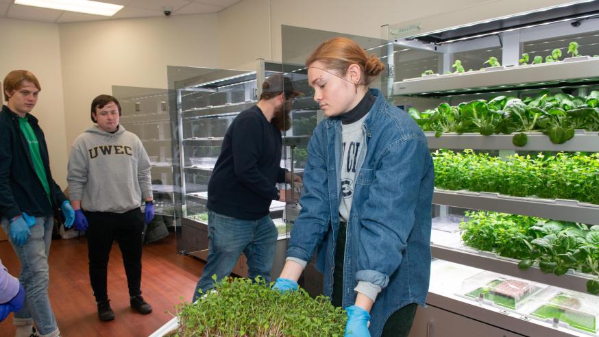 Student holds tray of green sprouting seedlings