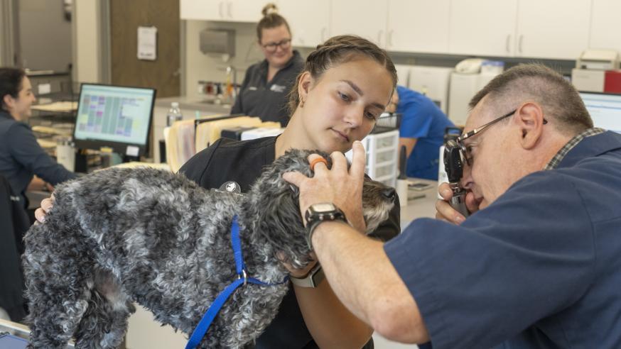 Pre-Professional Health Science | UW-Eau Claire