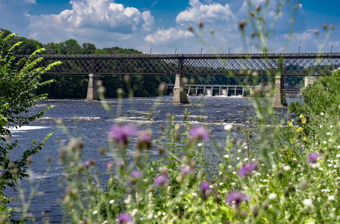 A tall bridge called High Bridge is seen from down the river with summer wildflowers in the foreground.