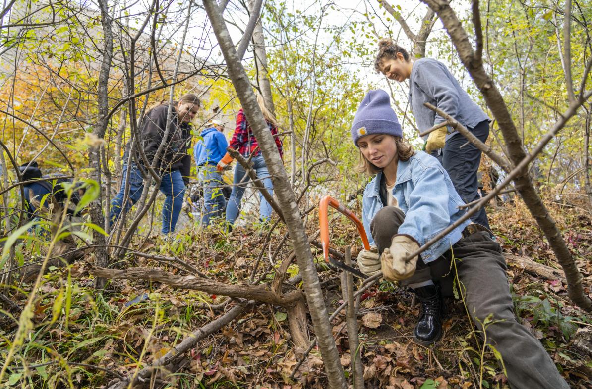 UW-Eau Claire students and faculty were among those working to preserve the biodiversity in Putnam Park.