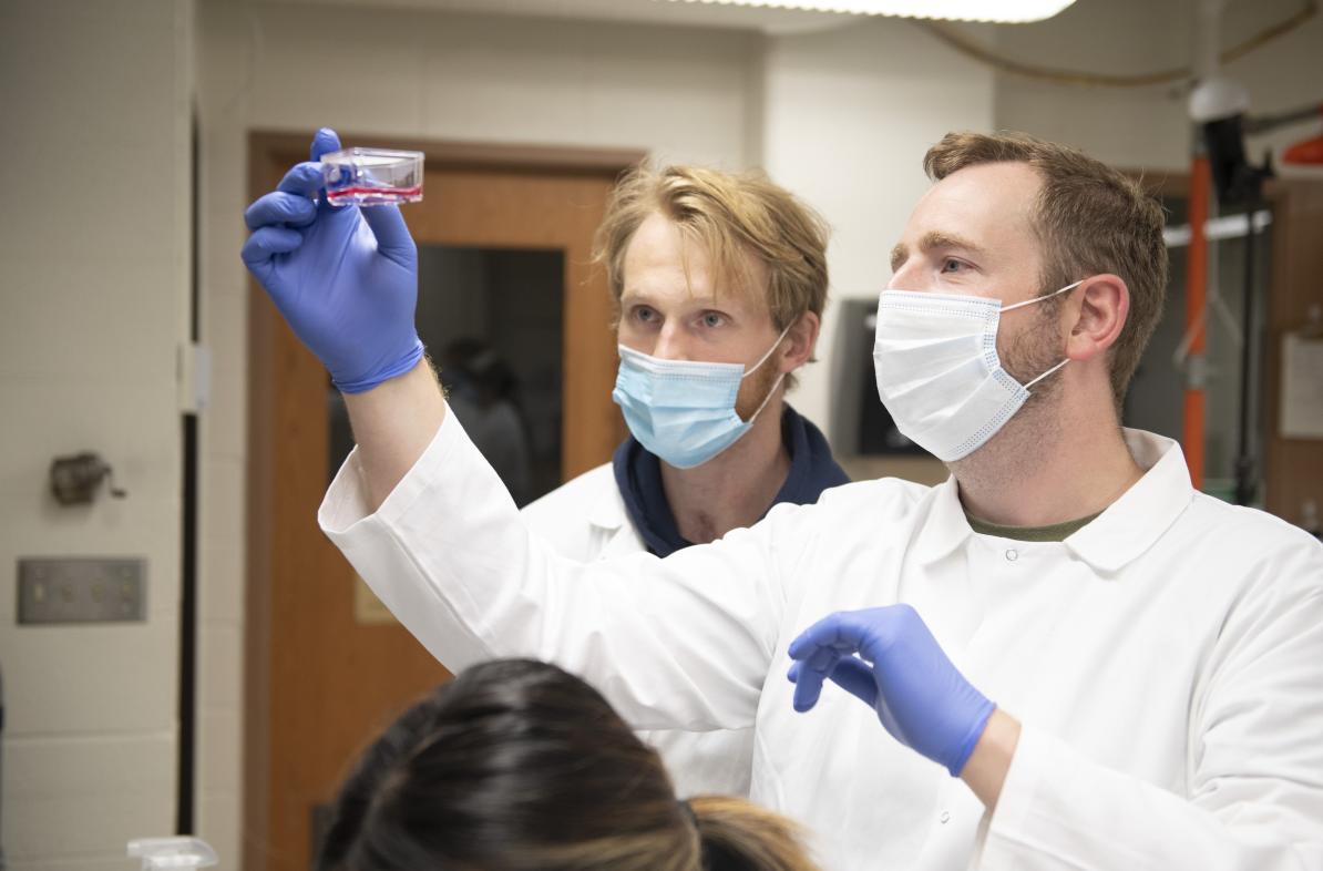 Zach Caterer (left) will present the undergraduate student research he is doing with Dr. Michael Walsh (right) during the Research in the Rotunda event in March in Madison. (Photo by Shane Opatz)