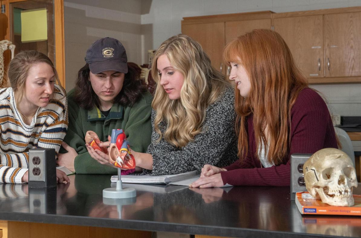 Students gathered around a science experiment