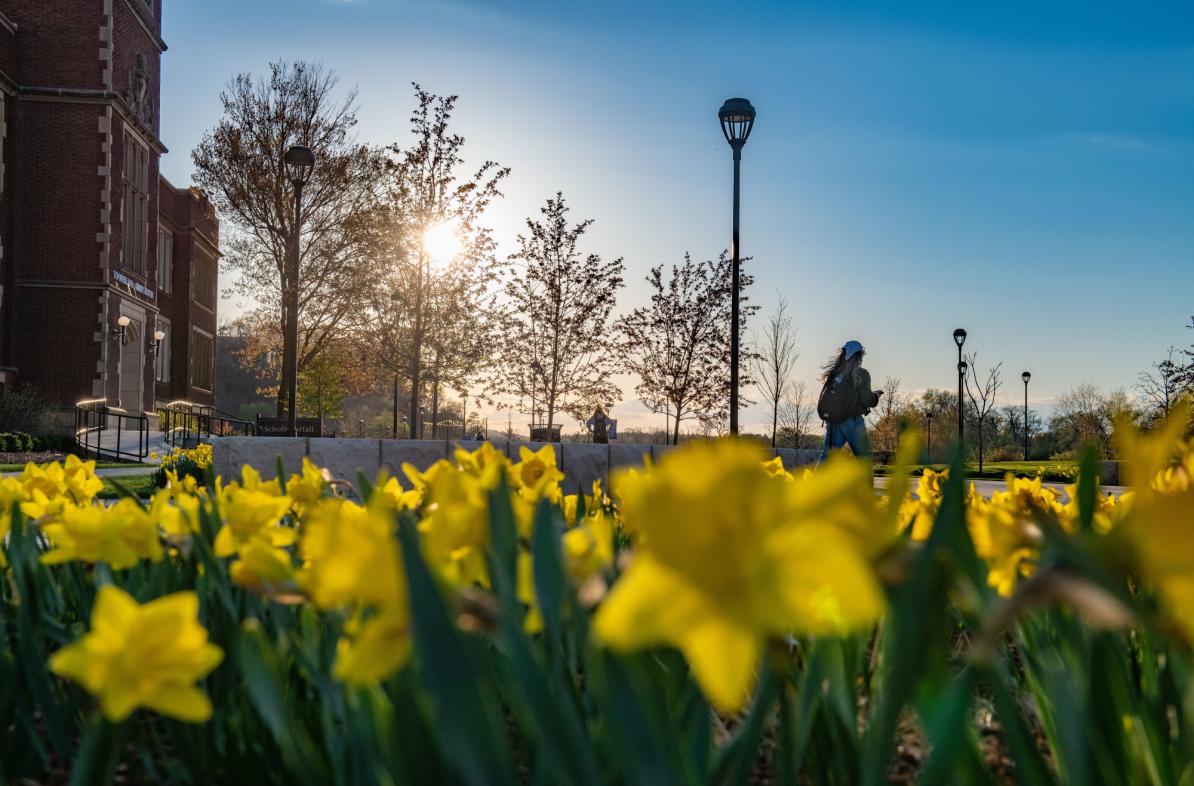 Campus flowers in summer