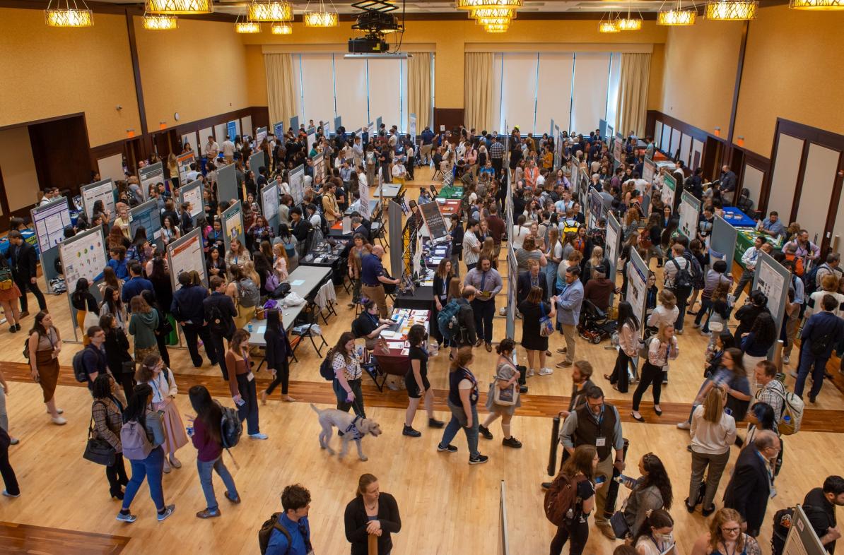 NCUR poster session