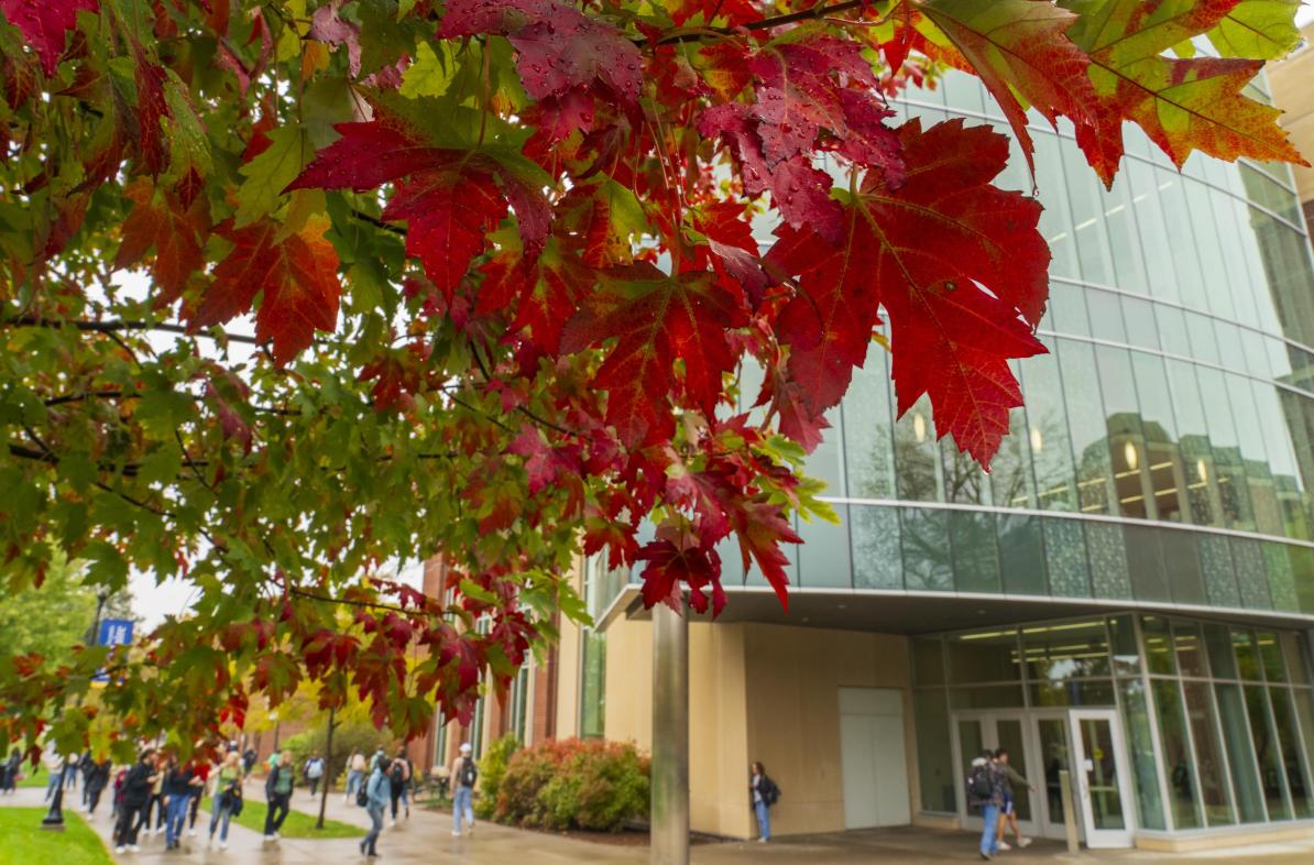 Red leaves on the maple trees in front of Centennial Hall