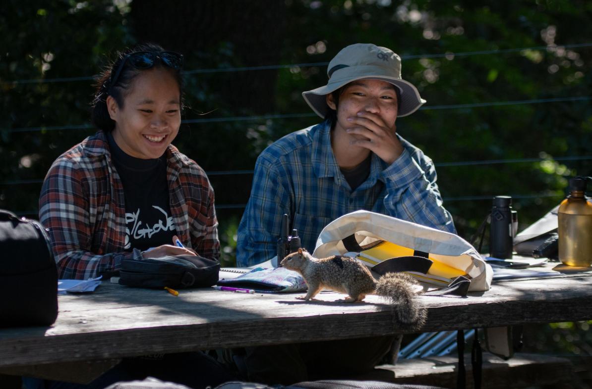 two students working at an outdoor table, a squirrel is on the table; surprised and laughing faces on the students