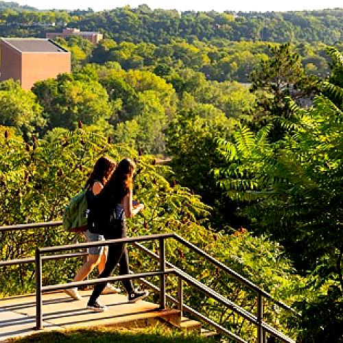 students at top of stairs headed to lower campus, lush green summer